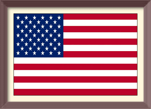 US Flag
